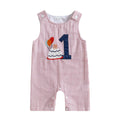 Baby wearing Striped Embroidered Overalls Romper