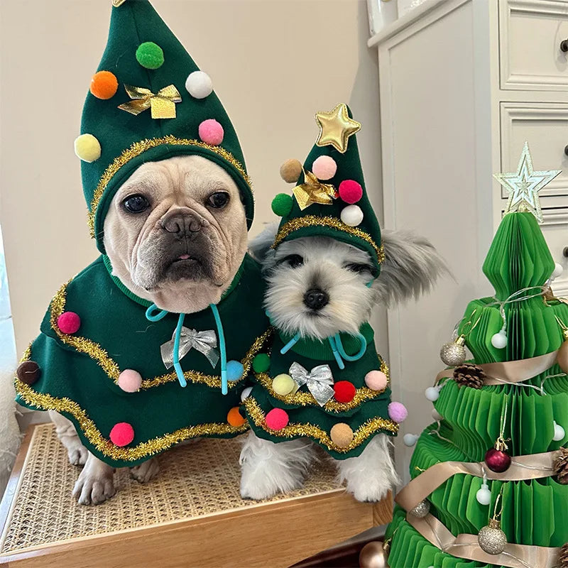 Two dogs wearing green Christmas tree capes and pointed hats decorated with colorful pom-poms, bows, and gold-colored trim.