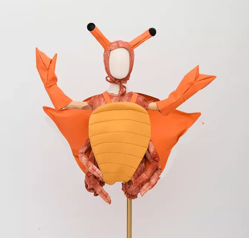 Orange crab costume set with jumpsuit, crab legs, padded shell, headpiece with eye stalks, and claw gloves