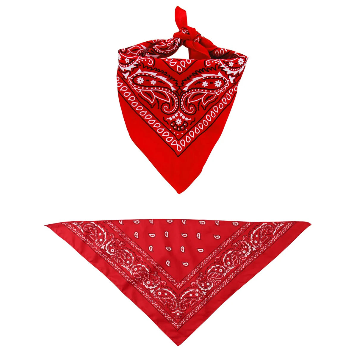 Red paisley bandana accessory